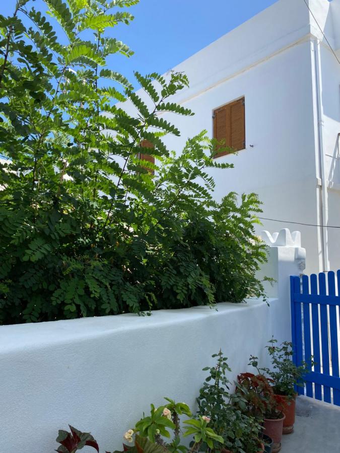 Blue Pearl Apartment Glinado Naxos Bagian luar foto