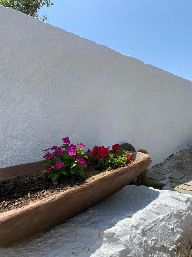 Blue Pearl Apartment Glinado Naxos Bagian luar foto