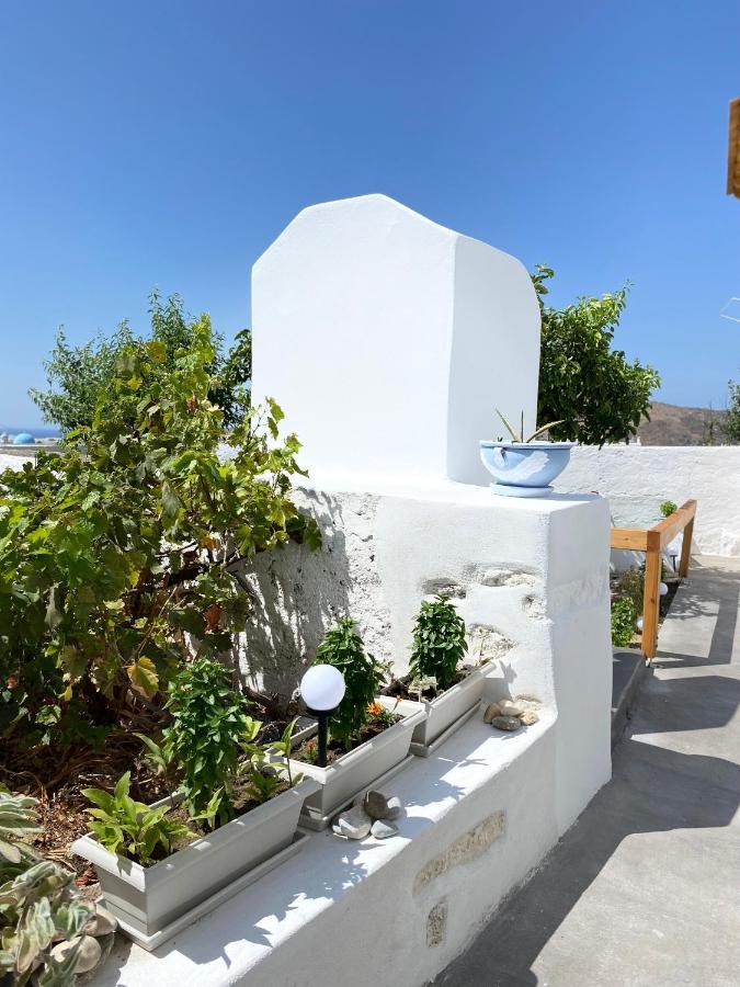 Blue Pearl Apartment Glinado Naxos Bagian luar foto