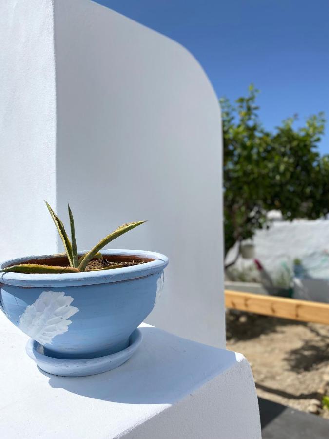 Blue Pearl Apartment Glinado Naxos Bagian luar foto