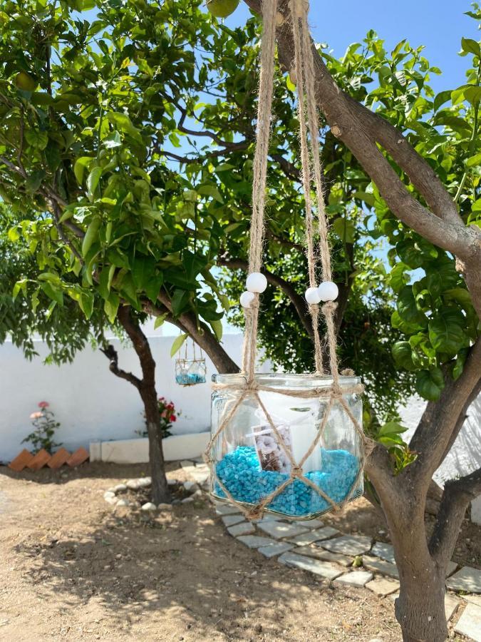 Blue Pearl Apartment Glinado Naxos Bagian luar foto